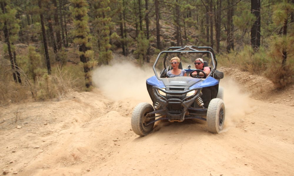 Rodéo buggy Tenerife