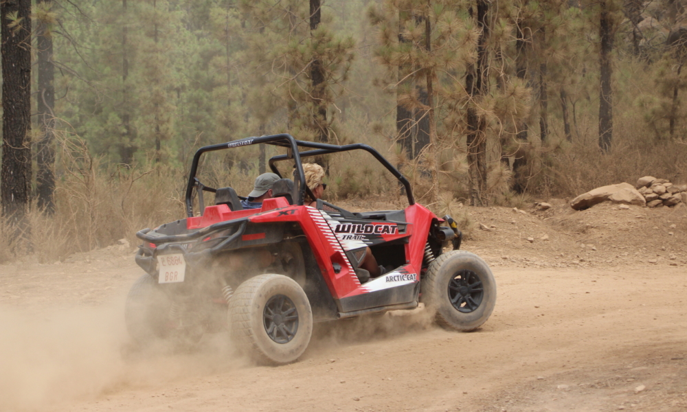 Parcours tout terrain en buggy à Tenerife